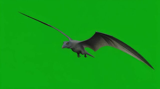 Pterodactyl in Flight A Realistic Depiction Against a Green Screen Background