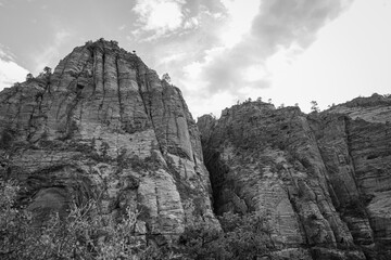 A monochrome view of steep canyon walls at Zion National Park highlights the dramatic textures and towering formations near Angels Landing.