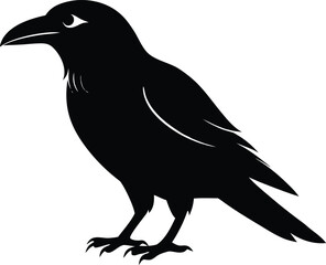 Raven Silhouette – Black Crow Bird Vector Illustration