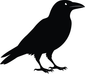 Raven Silhouette – Black Crow Bird Vector Illustration