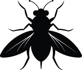 Whitefly Silhouette – Insect Pest Vector, Fly Silhouette – Insect Vector Illustration on White Background