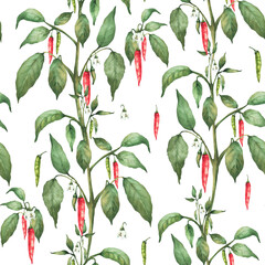 Chili pepper plant with flowers red end green pepper pods and leaves seamless pattern. Hand drawn watercolor illustration. Hot spicy garden vegetables for fabric, gardening. Isolated from background