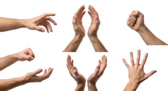 Diverse Human Hand Gestures Collection on White Background, Hands, Person, Male - Powered by Adobe