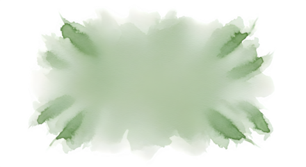 Delicate pale green flower petal with ruffled edges isolated on transparent background