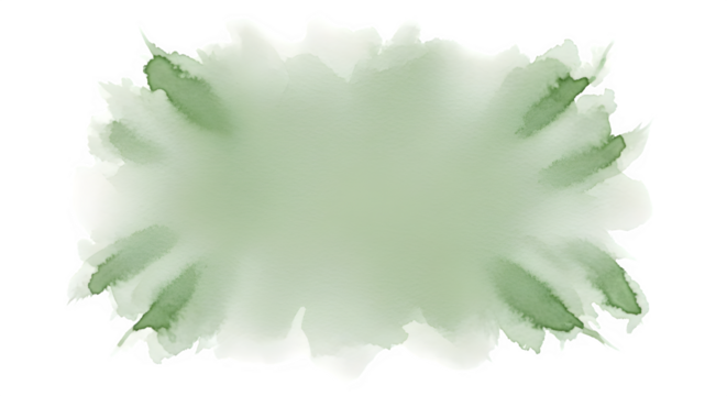 Delicate pale green flower petal with ruffled edges isolated on transparent background