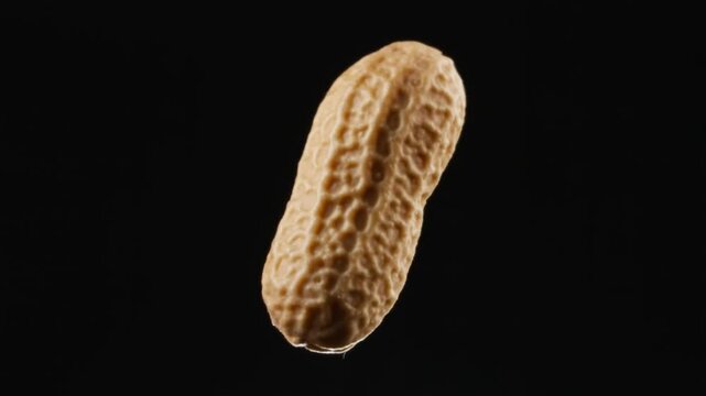 A single peanut against a dark background, a tasty snack Stock Video
