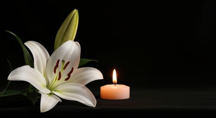 White Lily and Candle at Night, Flower, Blossom, Bloom