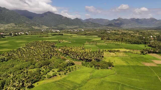 Beautiful aerial panorama of a South Indian town surrounded by paddy fields and massive misty mountains, blending nature and urban charm during morning hour