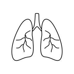 Healthy Human Lungs Line Art Icon. Simple Medical Outline Illustration. Perfect for medical graphics, anatomy education, healthcare infographics