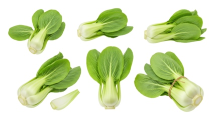 Fresh bok choy heads with white stalks and vibrant green leaves arranged in collage