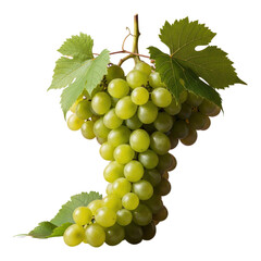 Obraz premium Fresh green grape isolated on transparent background, a healthy fruit
