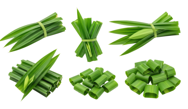 Fresh green pandan leaves bundled and cut into sections