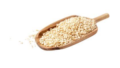 Culinary ingredient sesame seeds kitchen food home isolated on transparent background