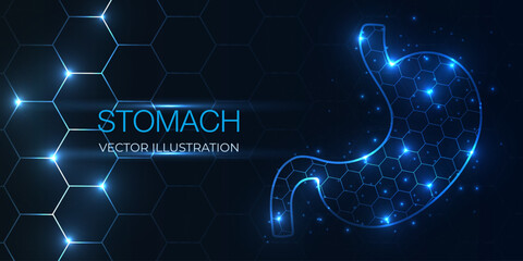 Abstract 3D wireframe of human stomach organ, low poly geometric style. Concept gastric care, cancer, pain, science, and technology. Vector illustration.