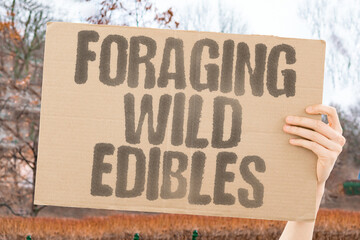 "Foraging Wild Edibles" Nature provides free seasonal nutrition. FORAGING. WILD. EDIBLES. NATURE. SEASONAL.