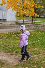 Little child walking on grass with golden autumn leaves. Baby girl outdoor casual stroll. Fall season activity, nature concept.