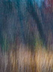 741-69 November Forest