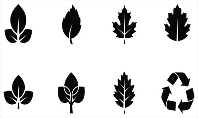 Fototapeta premium Diverse set of black leaf graphic elements alongside a universal recycling logo, perfect for eco-conscious designs, botanical themes, and environmental branding projects