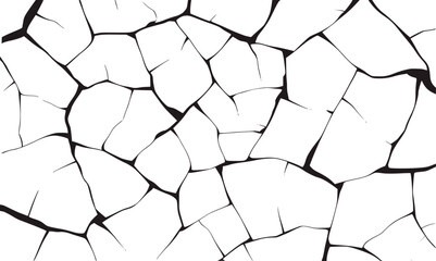 Obraz premium Cracked surface abstract pattern black white