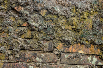 Weathered old brick wall with rough decay, moss stains, and natural grunge texture ideal for backgrounds, design surfaces, and vintage or industrial themes