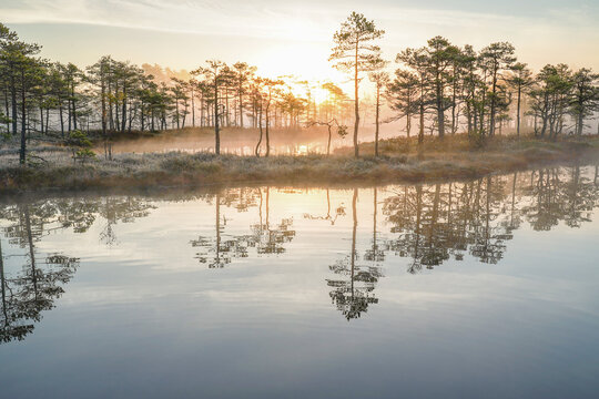 serene sunrise over a calm lake with gentle mist - Powered by Adobe
