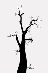 Death Tree Khulna, Bangladesh. 