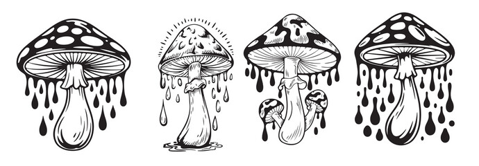 Four Graphic Mushroom Illustrations with Dripping Effect