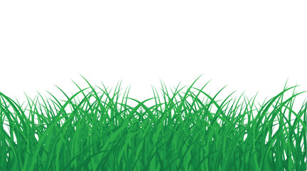  grass decoration element isolated on white background 