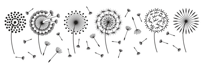 hand drawn blowball vector illustration