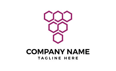 Obraz premium Grape wine hexagon logo design illustration Purple hexagon wine vine grape