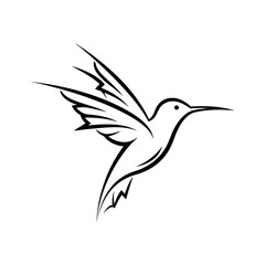 Hummingbird line art vector illustration drawing tattoo design flying bird outline minimalist simple elegant style