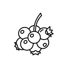 Vector illustration of blueberries bunch outline drawing for coloring book and design elements