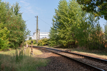 Obraz premium Railway Tracks through Greenery