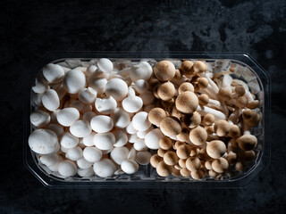 Fresh mushrooms in a plastic bowl