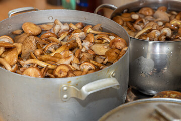 Delicious honey mushrooms in a ceramic plate . Honey fungus (Armillaria mellea) mushrooms in the bowl. Selective focus. Shallow depth of field.Mushrooms in a saucepan.