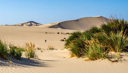 Serene Desert Landscape with Dunes and Vegetation.