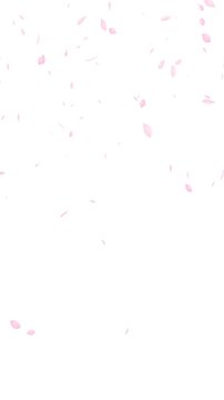 水彩風 真上から下へ桜の花びらが舞う[背景白色] Watercolor Spring Series:Cherry blossom petals dancing from top to bottom[White Background]