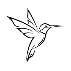 Obraz premium Hummingbird line art vector drawing minimalist design bird illustration flying animal tattoo stencil outline