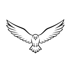 Obraz premium Eagle vector graphic design flying bird illustration hawk falcon outline clip art animal predatory bird art