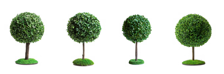 Four green topiary trees with round shapes, isolated on transparent background