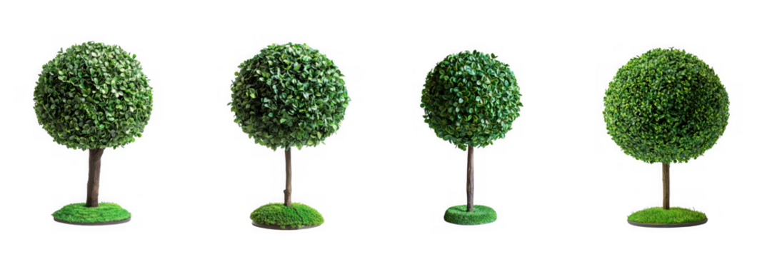 Four green topiary trees with round shapes, isolated on transparent background