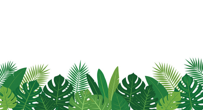 Lush green tropical foliage forms a decorative lower border on a bright white background, ideal for exotic nature-themed designs.