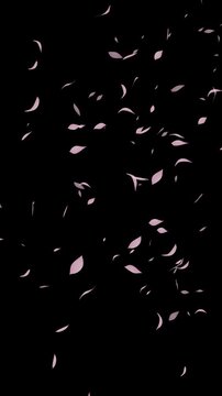 水彩風 右から桜の花びらが舞う[4K-背景透過]縦 Watercolor Spring Series:Cherry blossom petals dancing from the right[with Alpha Channel / Transparent Background]4K