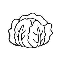 Cabbage Simple Line Art Icon