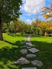 Stone path leading through a green park with trees and autumn leaves under a bright blue sky. Peaceful landscape symbolizing calm, balance, and connection with nature.