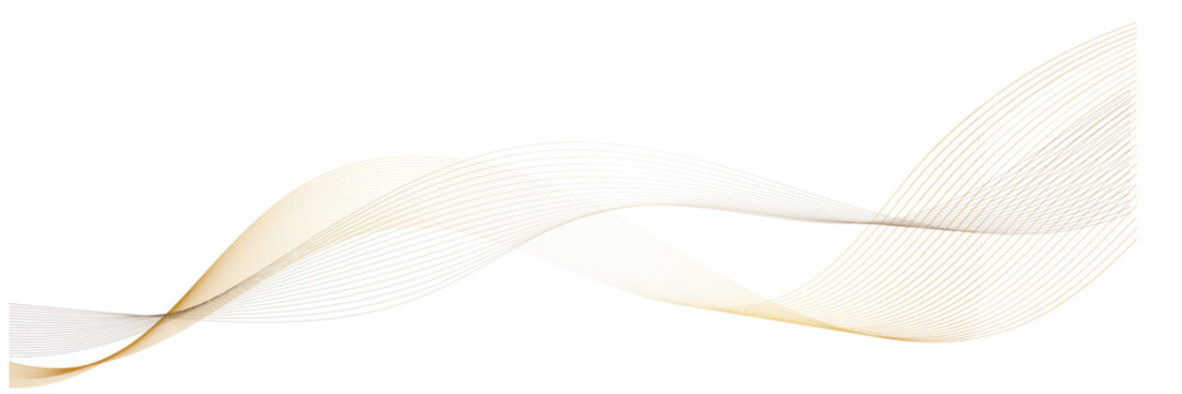 Soft flowing white abstract wave background. Gentle translucent white waves creating a smooth, flowing abstract design, perfect for clean layouts, modern graphics, and minimalistic backgrounds.

