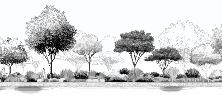 Ilustraci&oacute;n vectorial en blanco y negro de un paisaje con &aacute;rboles, arbustos y vegetaci&oacute;n, ideal para dise&ntilde;o.