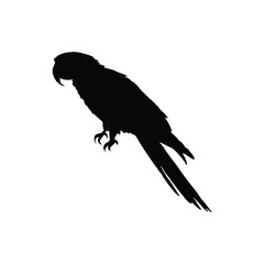 Solid black parrot silhouette vector illustration