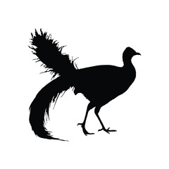 Solid black lyrebird silhouette vector illustration