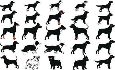 Dog silhouettes, breed icons, pet illustrations, black canine shapes, vector dogs, animal graphics, posture comparison, dog chart, infographic